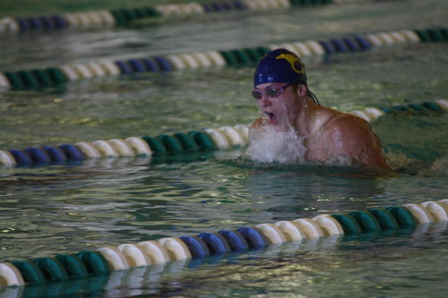 Swimmers Qualify for State