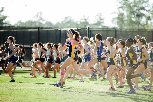 Cross Country Teams Advance to Regionals