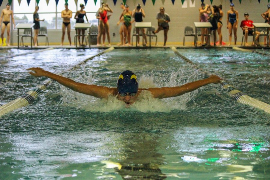 Team Spotlight: Mustang Swimming and Diving