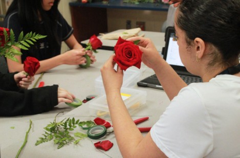 Photo Essay - School Hobbies